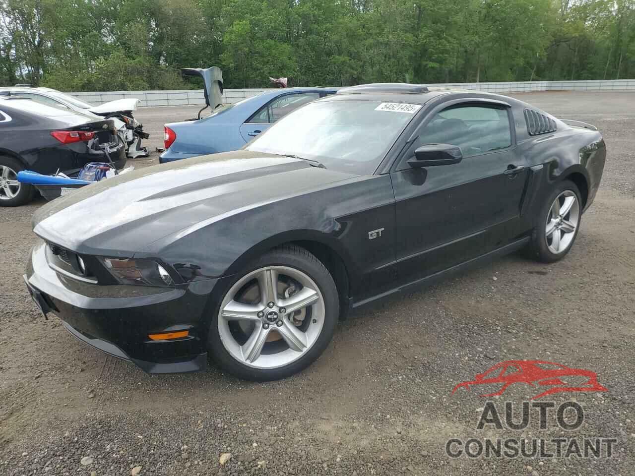 FORD MUSTANG 2010 - 1ZVBP8CH1A5130293