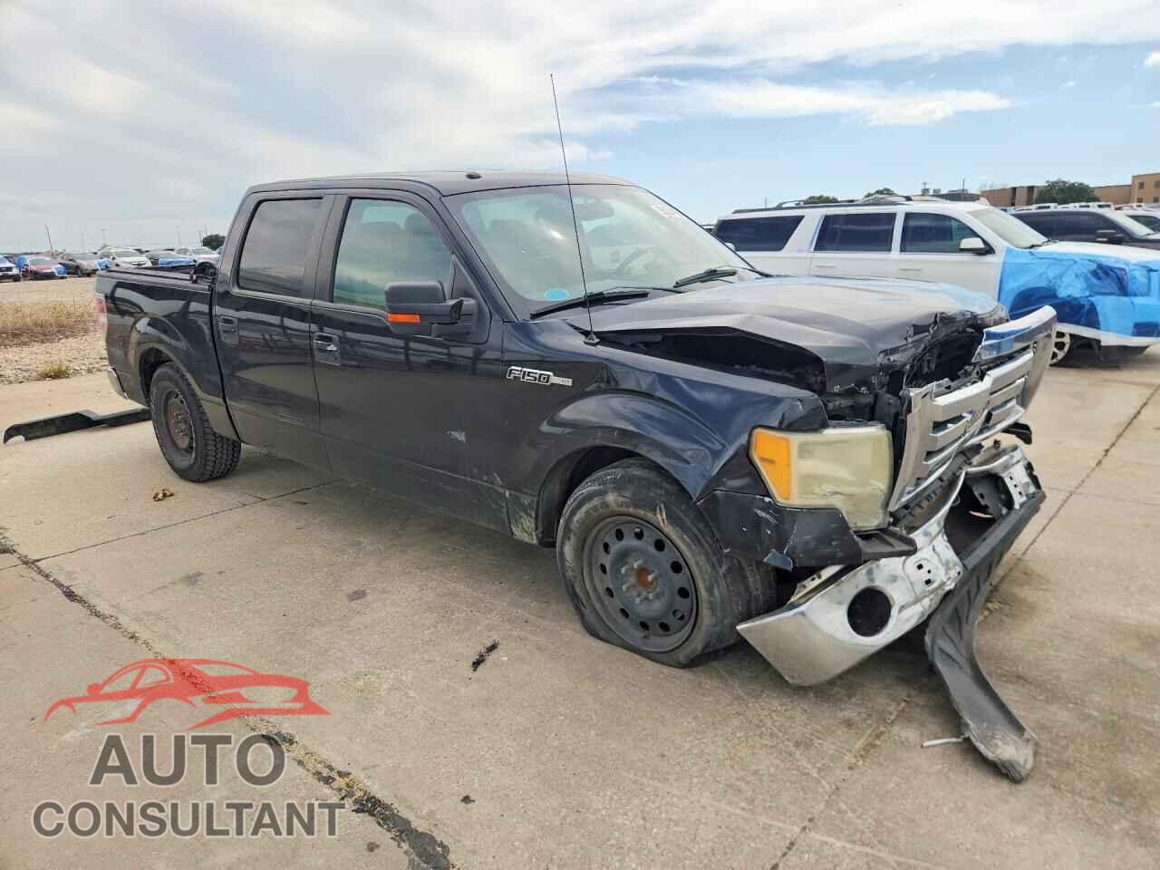 FORD All Models 2010 - 1FTEW1C83AFD17829