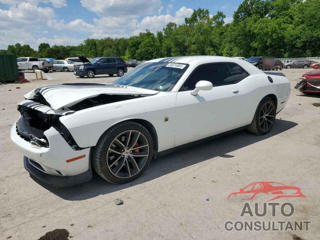 DODGE CHALLENGER 2018 - 2C3CDZFJ0JH338795