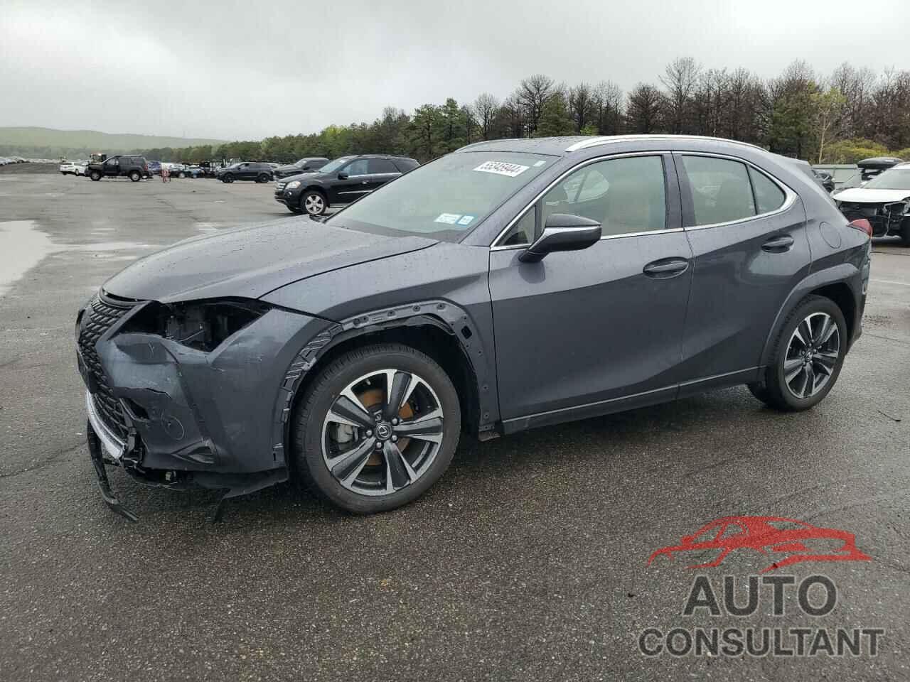 LEXUS UX 250H PR 2023 - JTHP9JBH0P2066316