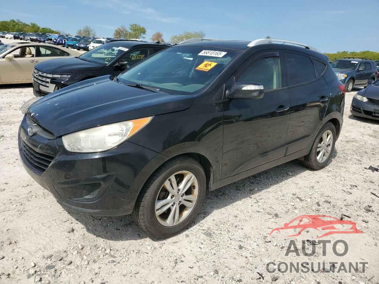 HYUNDAI TUCSON 2012 - KM8JUCAC1CU429286