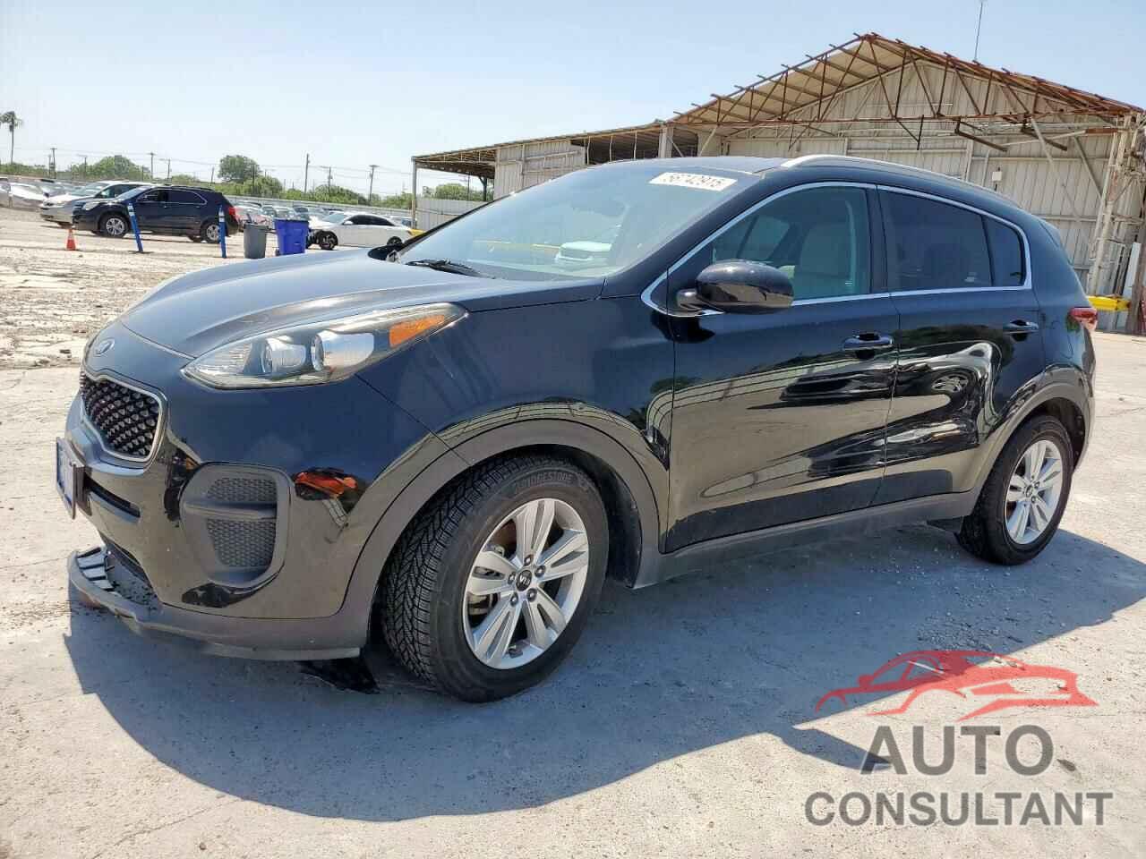 KIA SPORTAGE 2019 - KNDPM3AC7K7616916