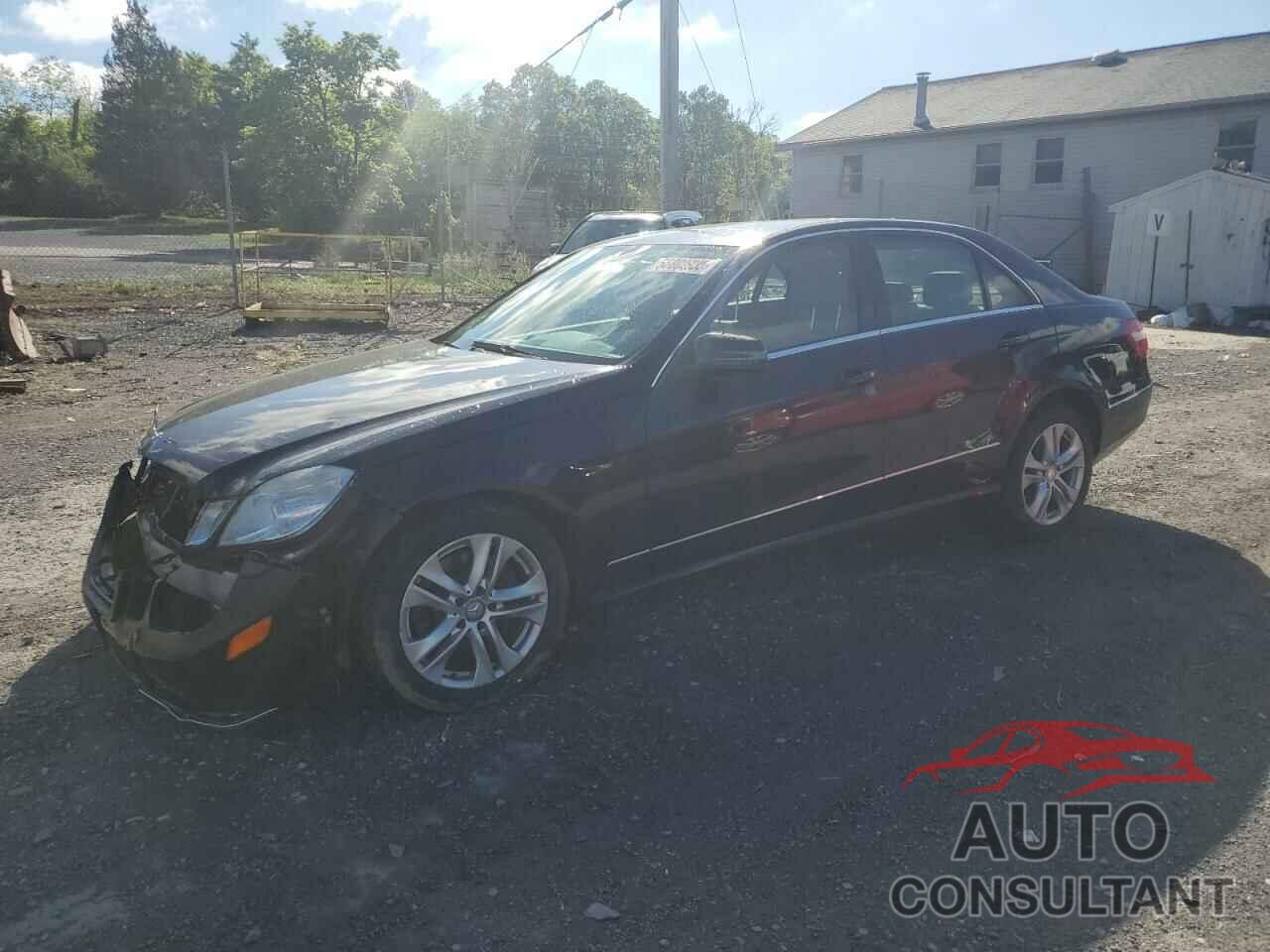 MERCEDES-BENZ E-CLASS 2010 - WDDHF8HB0AA244285
