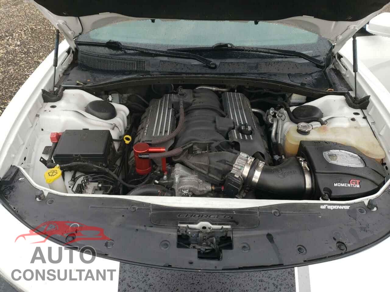DODGE CHARGER 2019 - 2C3CDXGJ2KH753380