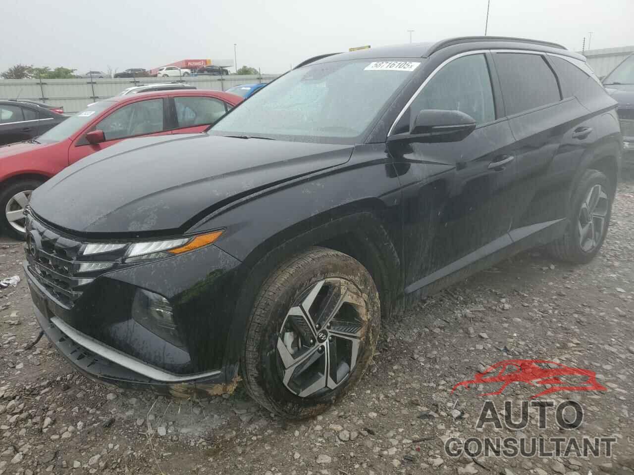 HYUNDAI TUCSON 2023 - 5NMJFCAE0PH194392