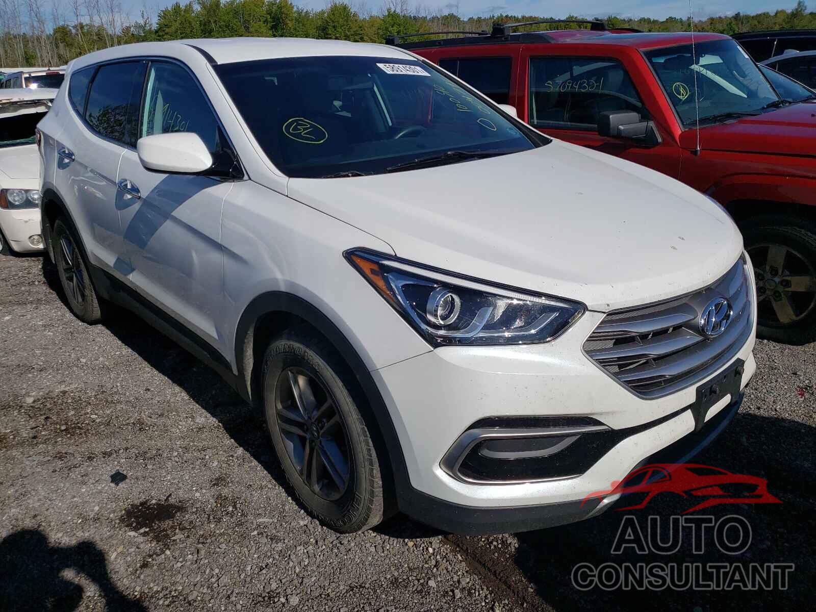 HYUNDAI SANTA FE 2017 - 5NMZTDLB3HH004798