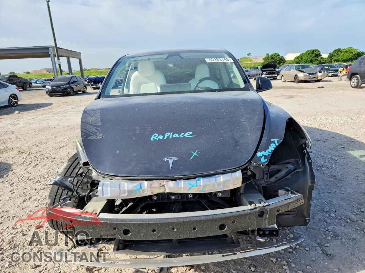 TESLA MODEL Y 2024 - 7SAYGDED1RF009051