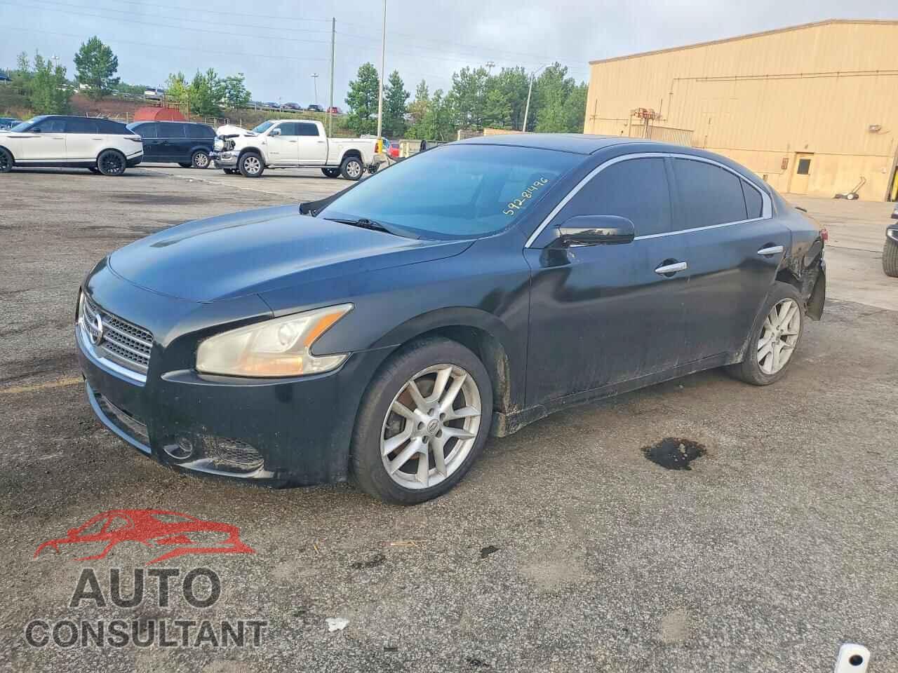 NISSAN MAXIMA 2011 - 1N4AA5AP1BC813008