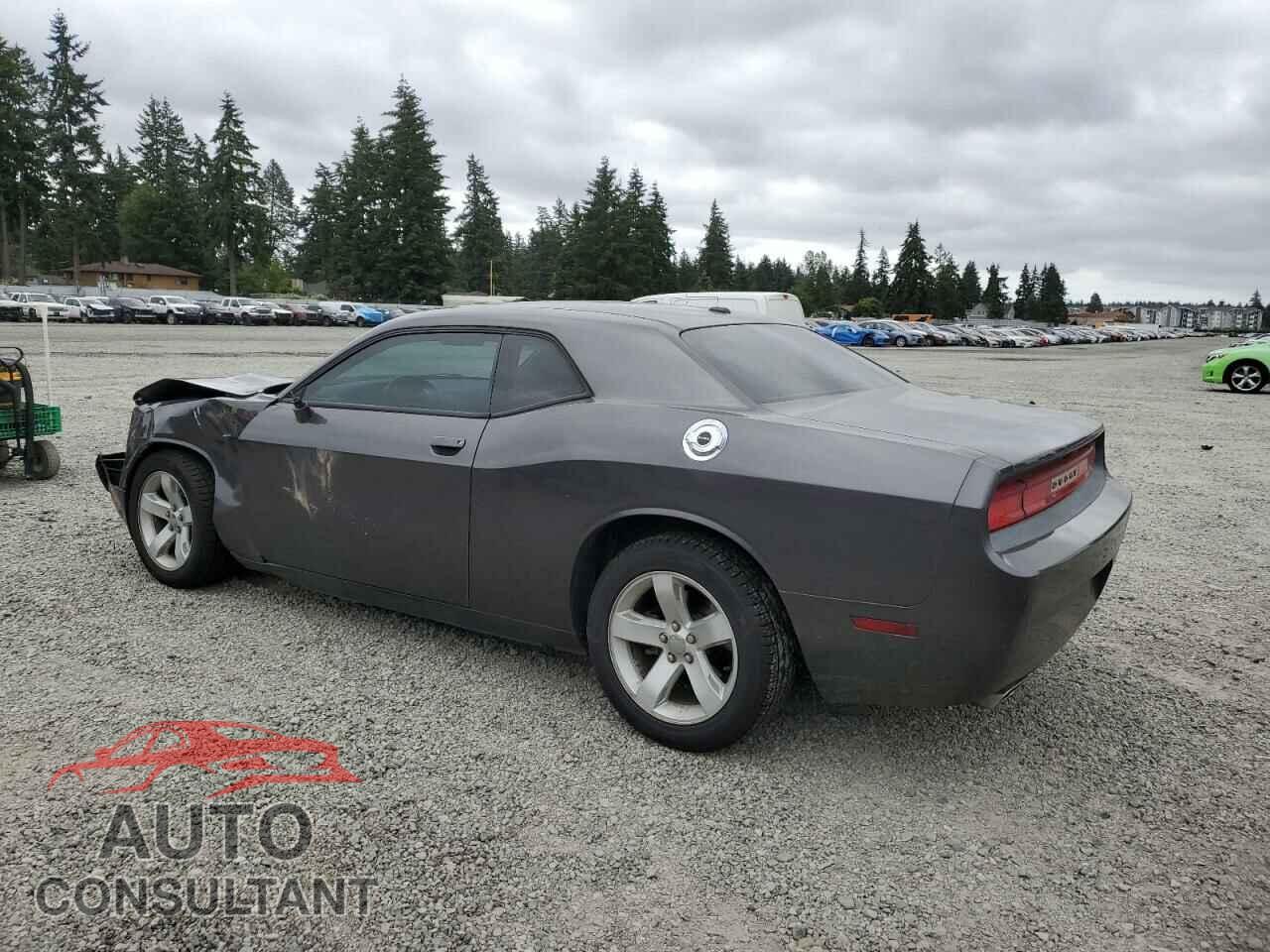 DODGE CHALLENGER 2014 - 2C3CDYAG2EH262136