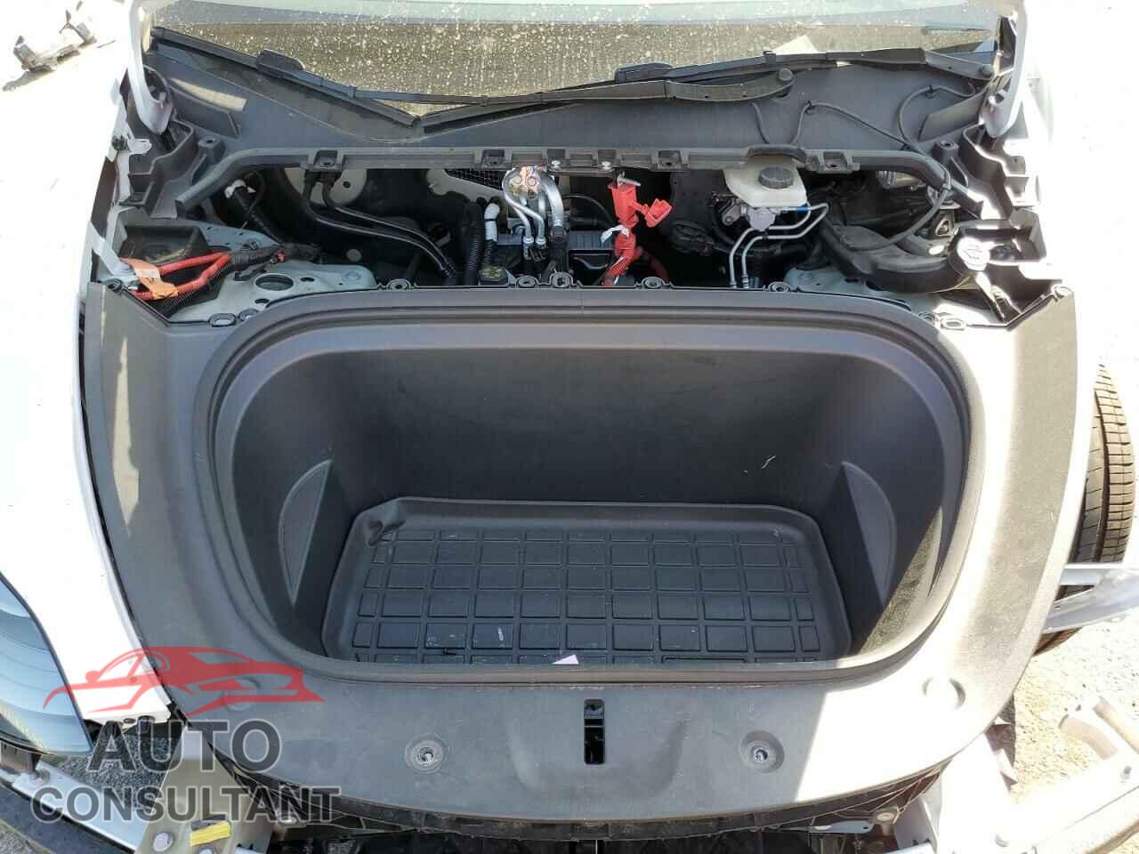 TESLA MODEL Y 2024 - 7SAYGDEE0RF169236