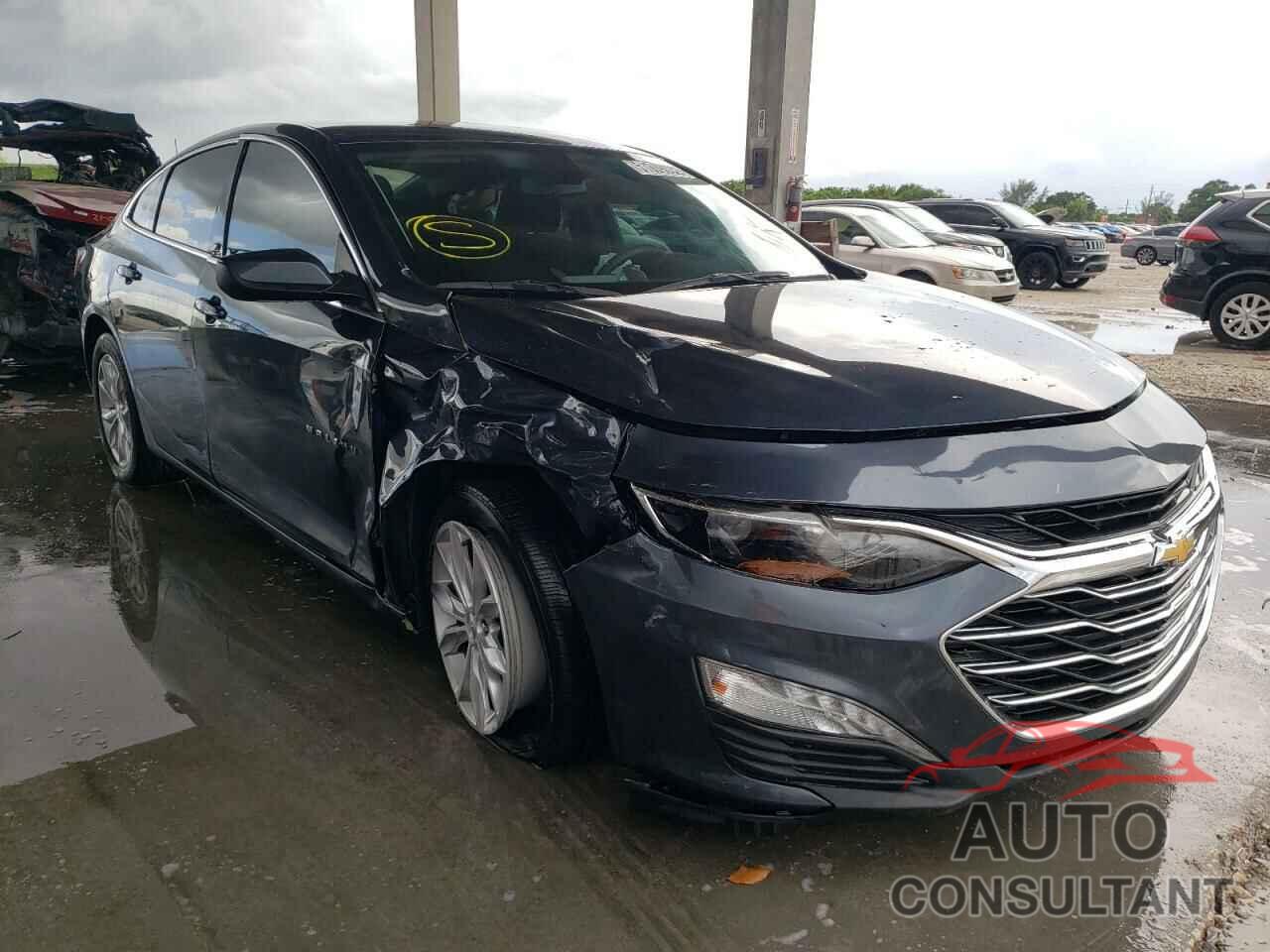 CHEVROLET MALIBU 2019 - 1G1ZD5ST7KF162846