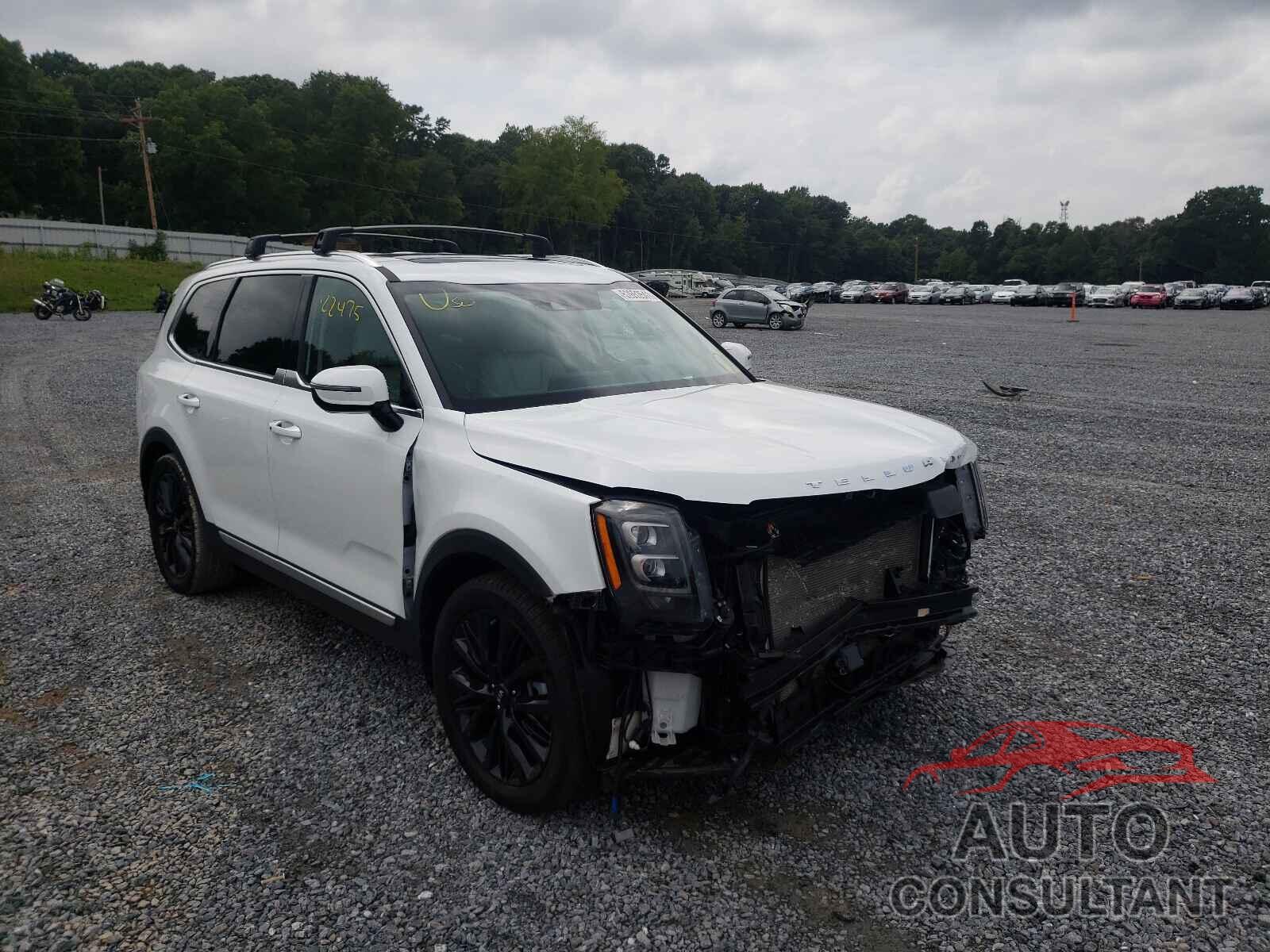 KIA TELLURIDE 2020 - 5XYP5DHC2LG063654