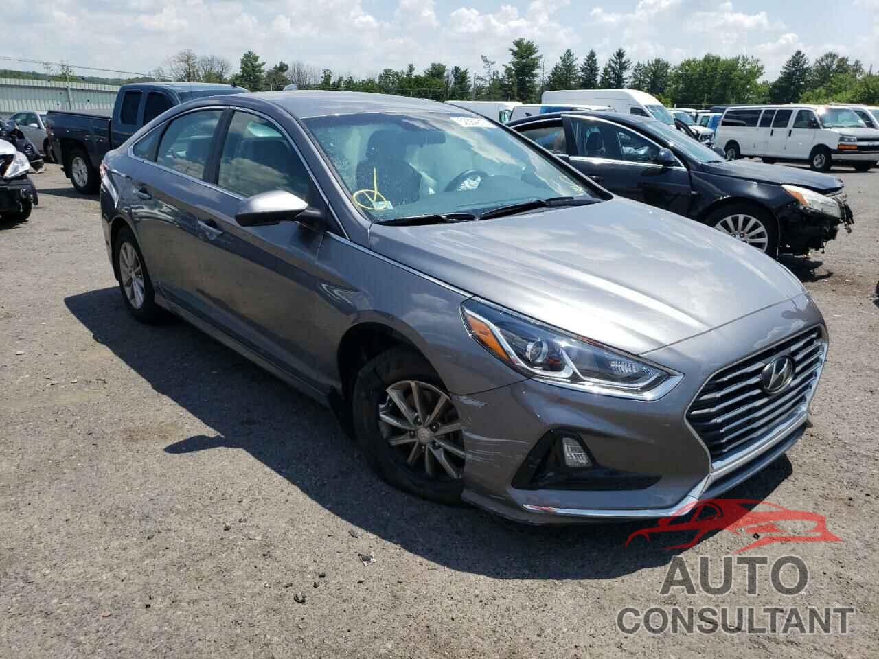 HYUNDAI SONATA 2019 - 5NPE24AF0KH732094