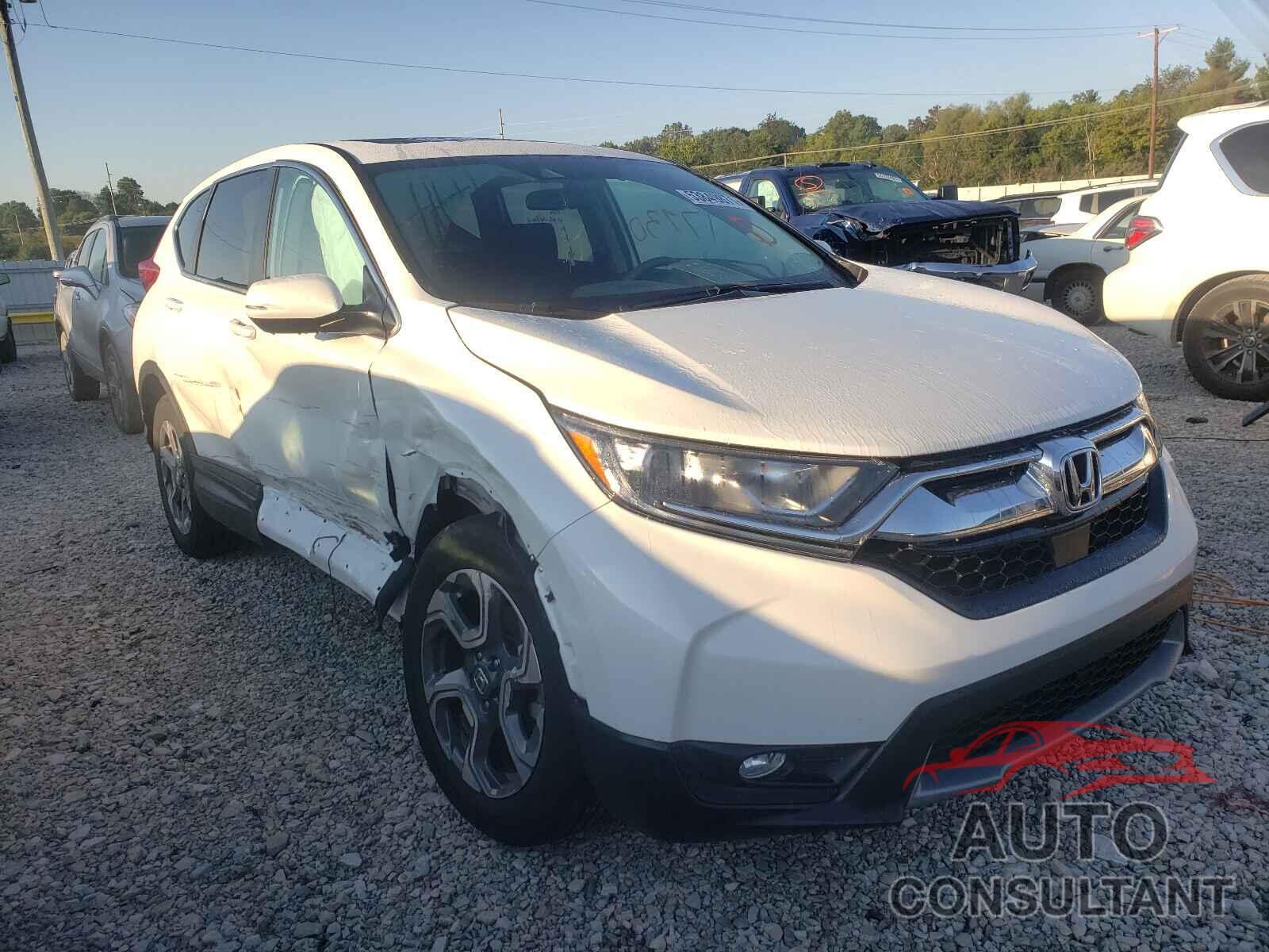 HONDA CRV 2019 - 7FARW2H54KE012551