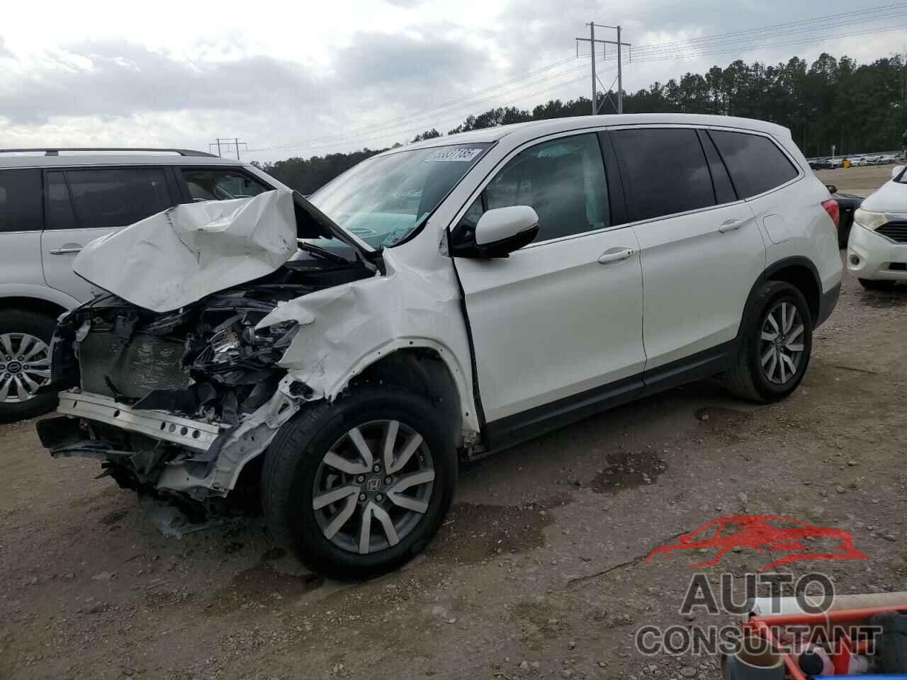 HONDA PILOT 2019 - 5FNYF5H44KB004997