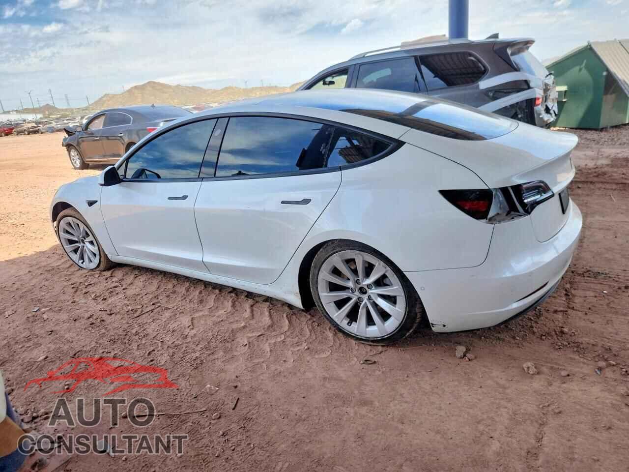 TESLA MODEL 3 2021 - 5YJ3E1EA1MF095942