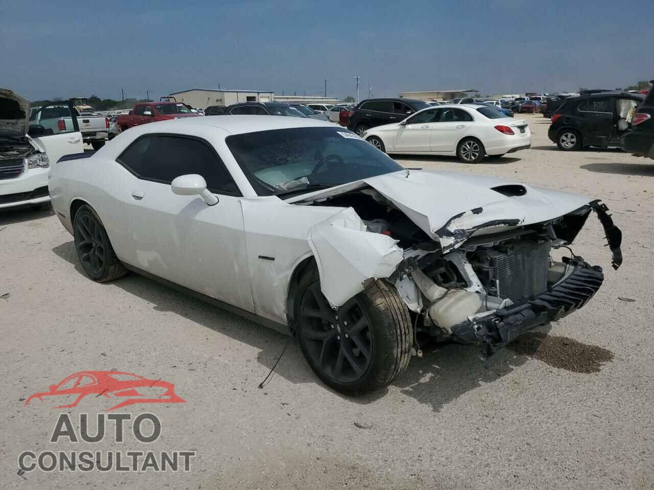 DODGE CHALLENGER 2019 - 2C3CDZBT6KH583285