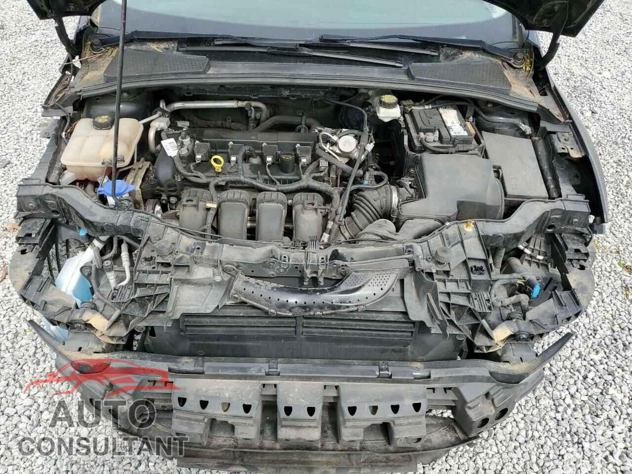 FORD FOCUS 2017 - 1FADP3F21HL201977