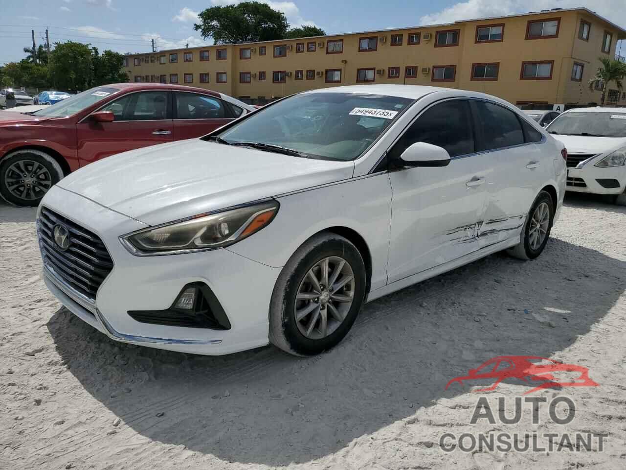 HYUNDAI SONATA 2019 - 5NPE24AF9KH774229