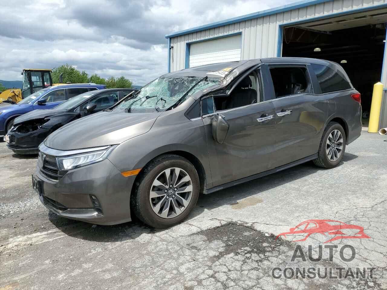 HONDA All Models 2021 - 5FNRL6H76MB044630