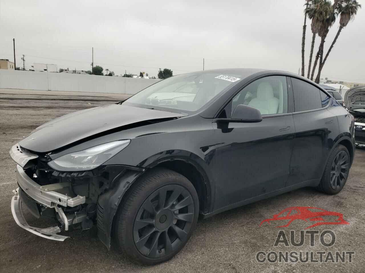 TESLA MODEL Y 2024 - 7SAYGDED4RF045915