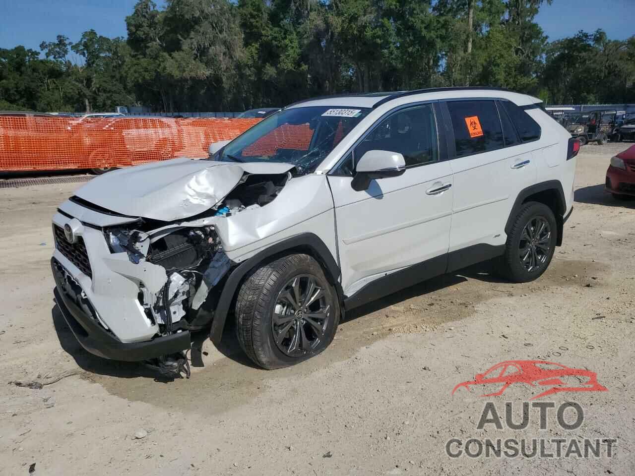 TOYOTA RAV4 2024 - 4T3D6RFV0RU141313