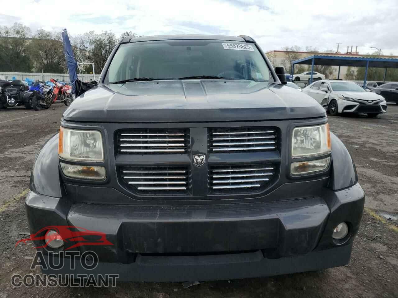 DODGE NITRO 2011 - 1D4PT4GK7BW565837