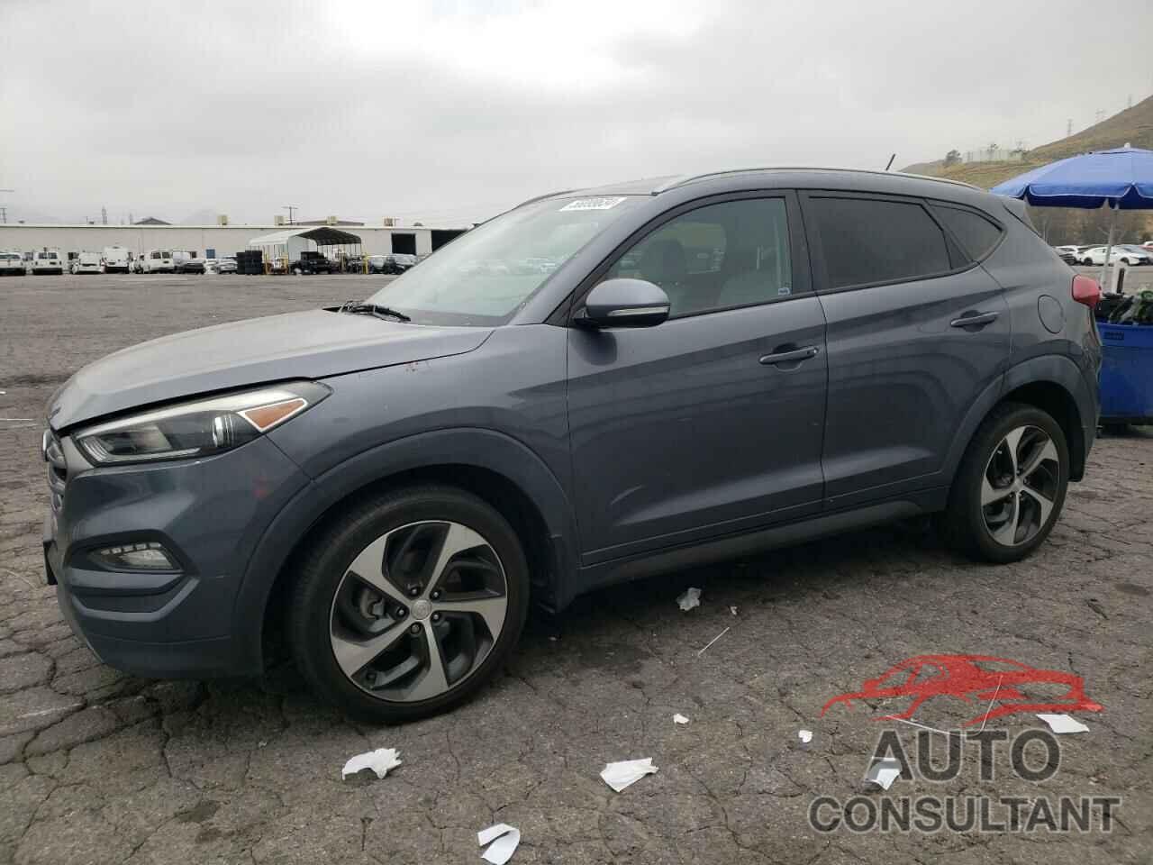 HYUNDAI TUCSON 2016 - KM8J33A24GU117236