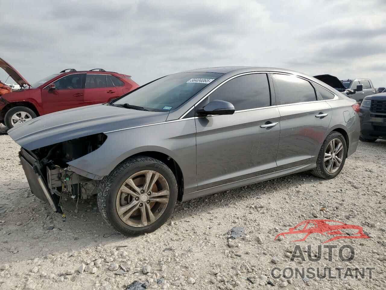 HYUNDAI SONATA 2019 - 5NPE34AF9KH779797
