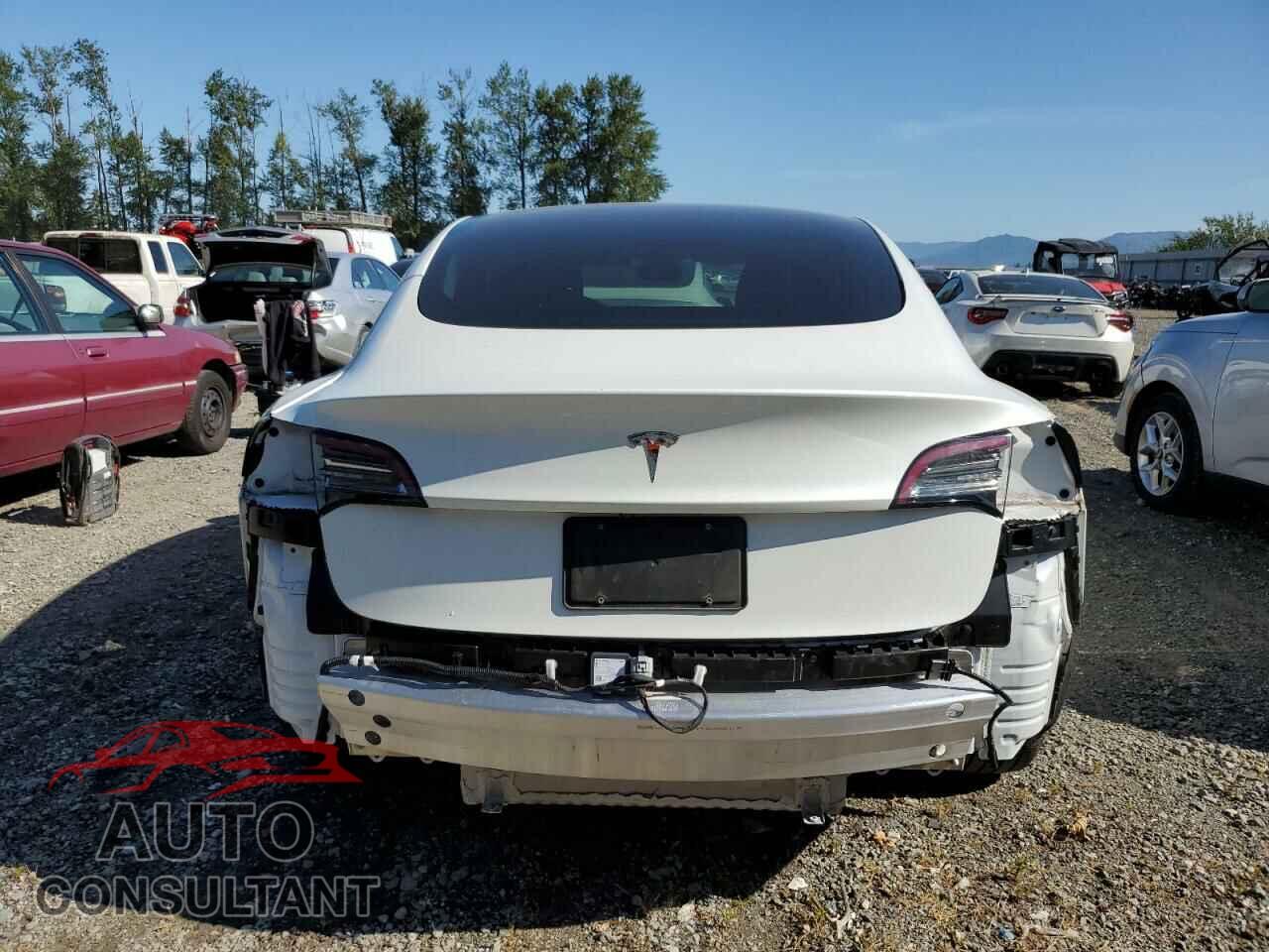 TESLA MODEL 3 2021 - 5YJ3E1EA3MF070749
