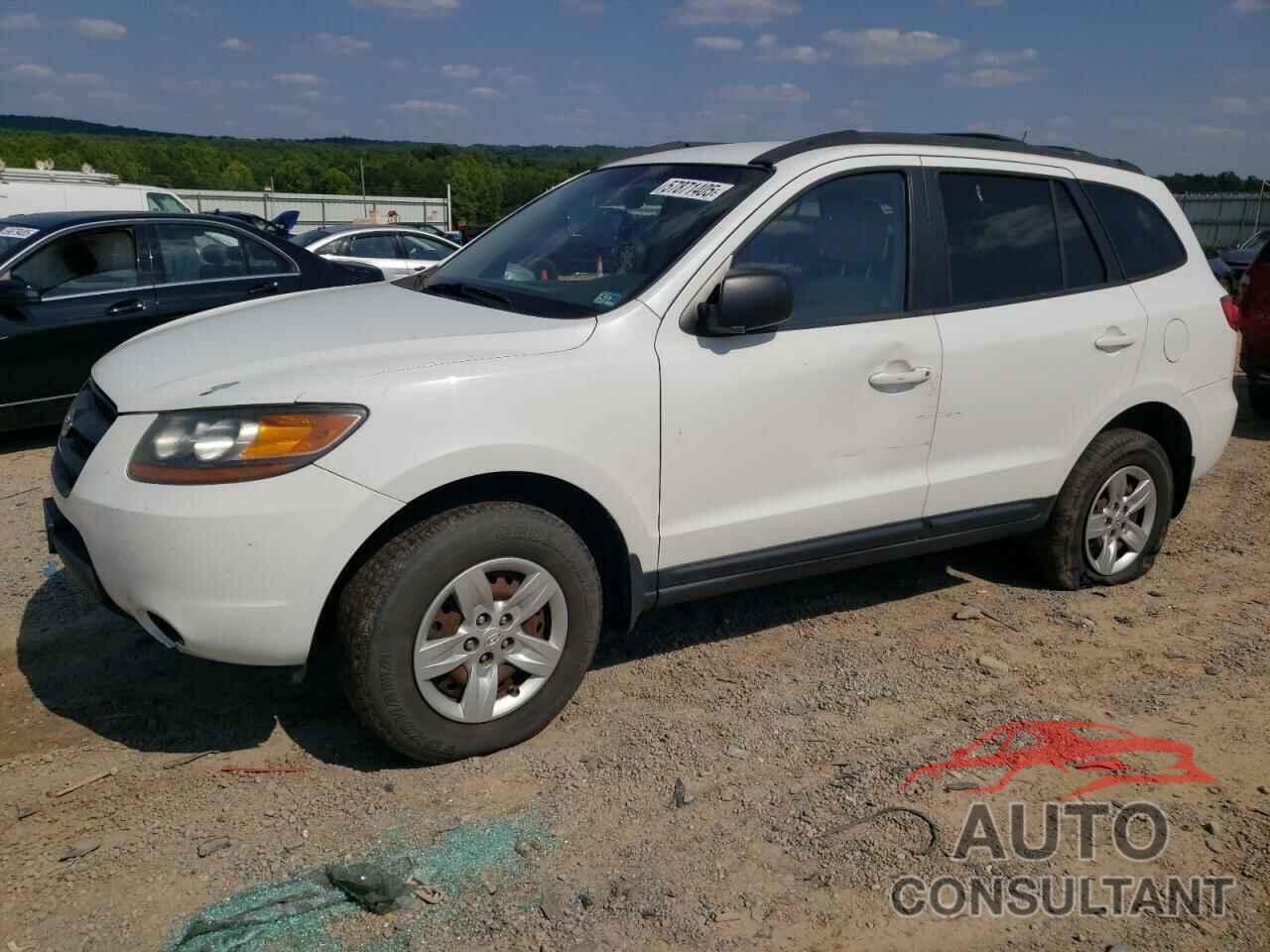 HYUNDAI SANTA FE 2009 - 5NMSG13D29H280400