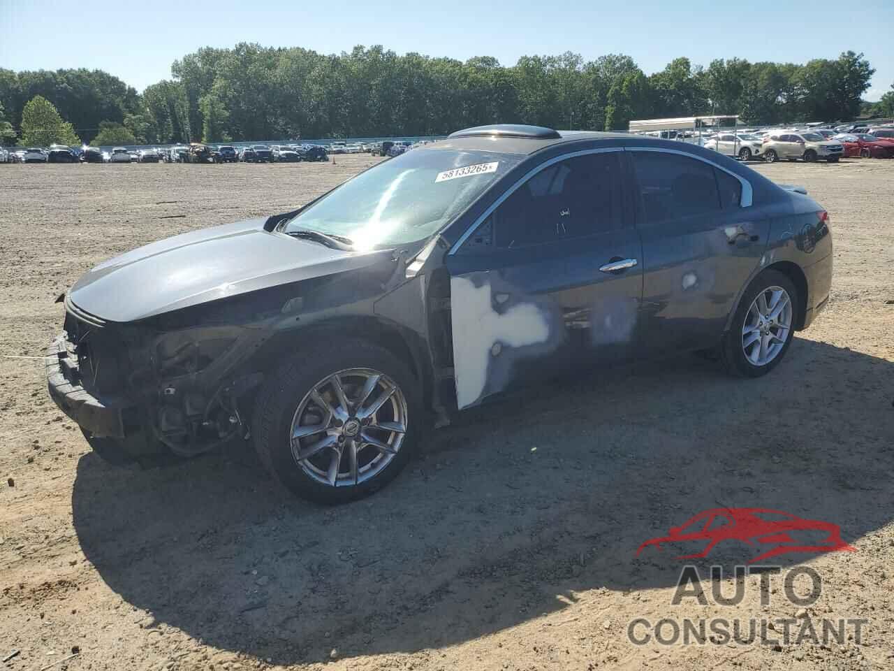 NISSAN MAXIMA 2009 - 1N4AA51E59C818091