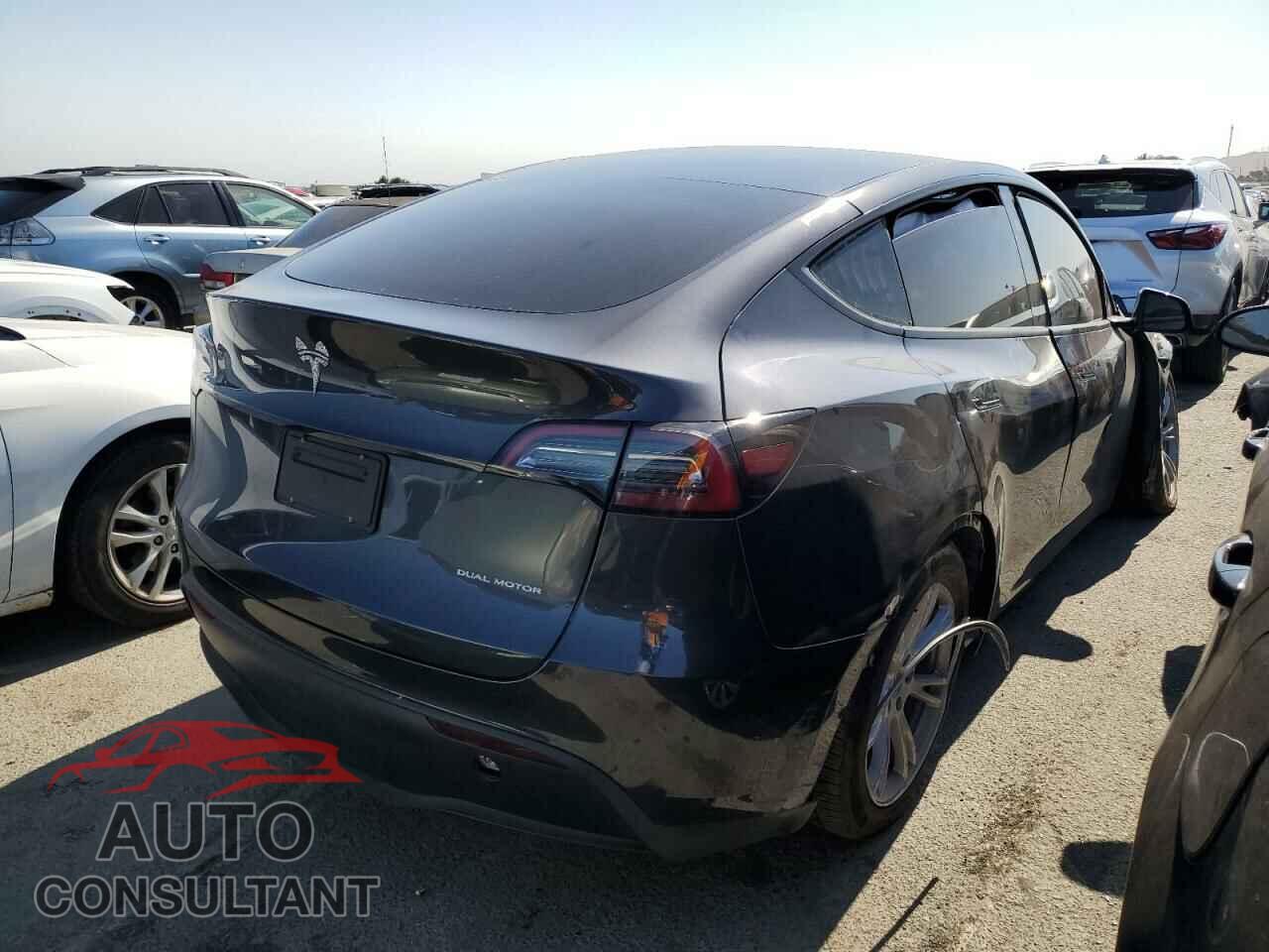 TESLA MODEL Y 2024 - 7SAYGDEE2RF984845