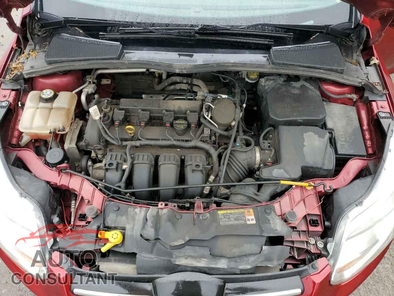 FORD FOCUS 2013 - 1FADP3F2XDL130286