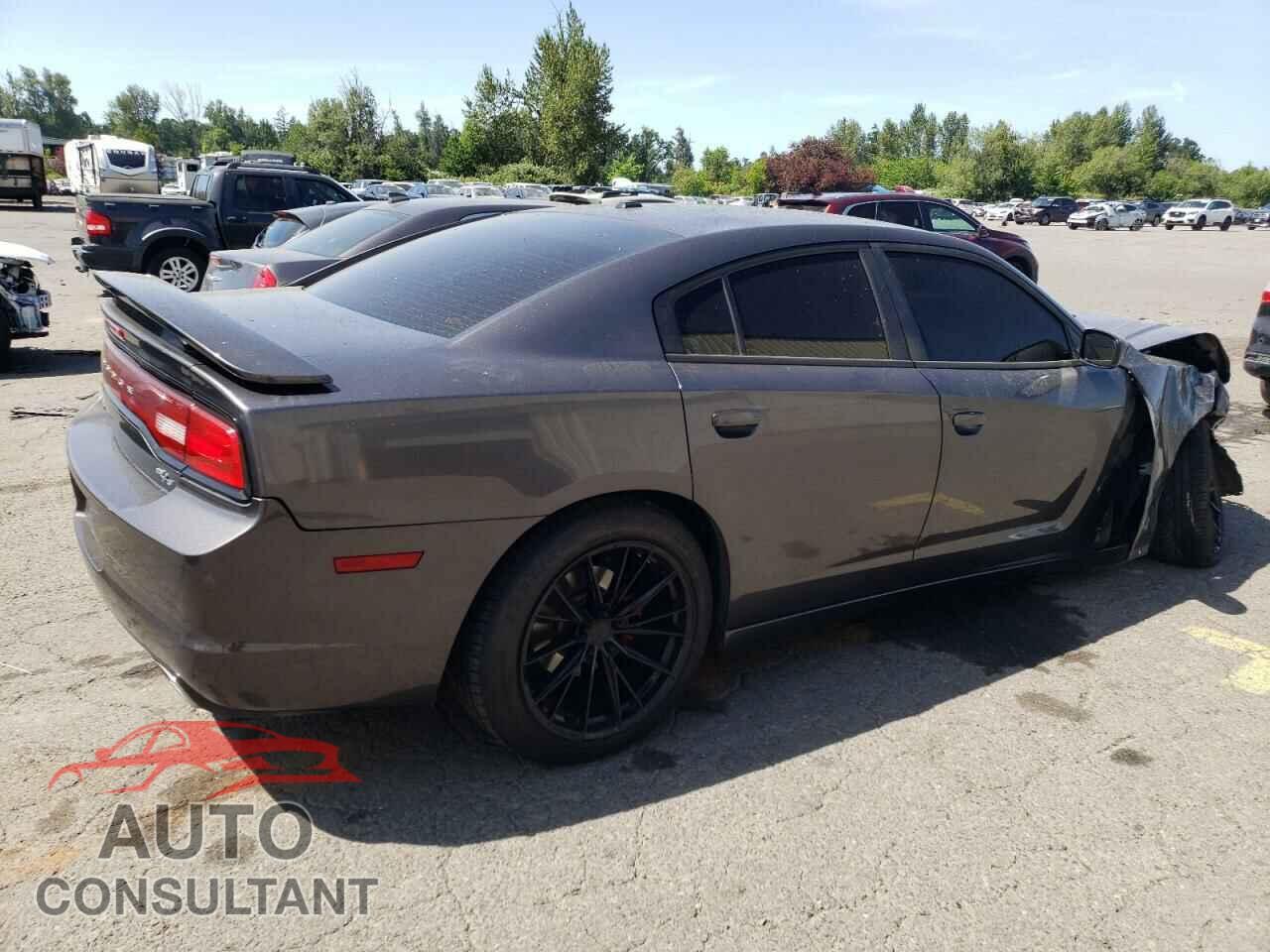 DODGE CHARGER 2014 - 2C3CDXCT7EH330516