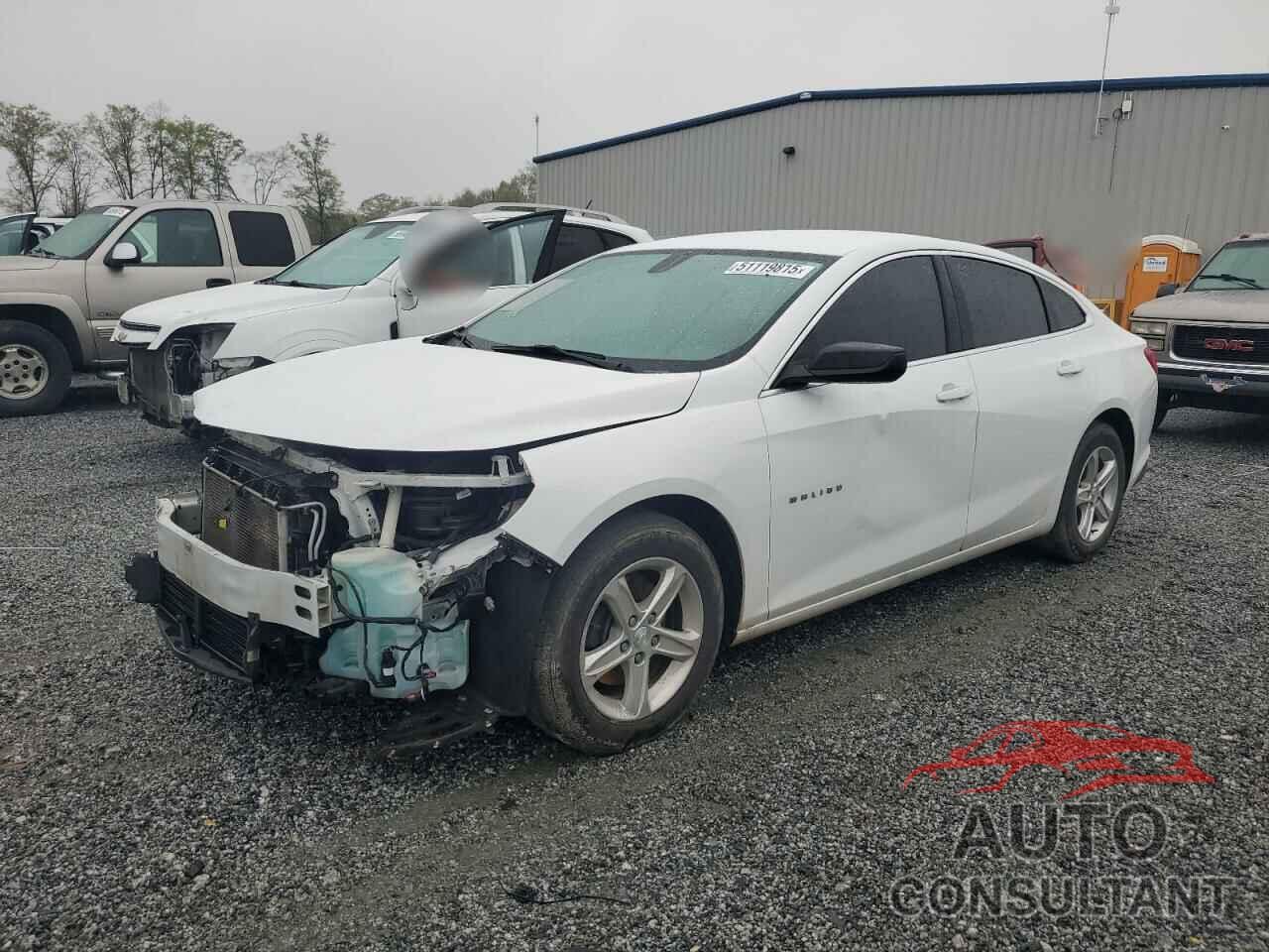 CHEVROLET MALIBU 2019 - 1G1ZC5ST8KF182834