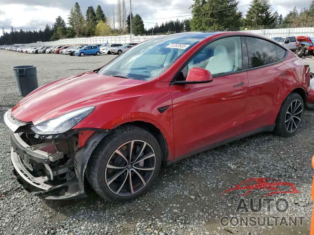 TESLA MODEL Y 2023 - 7SAYGAEE6PF966053