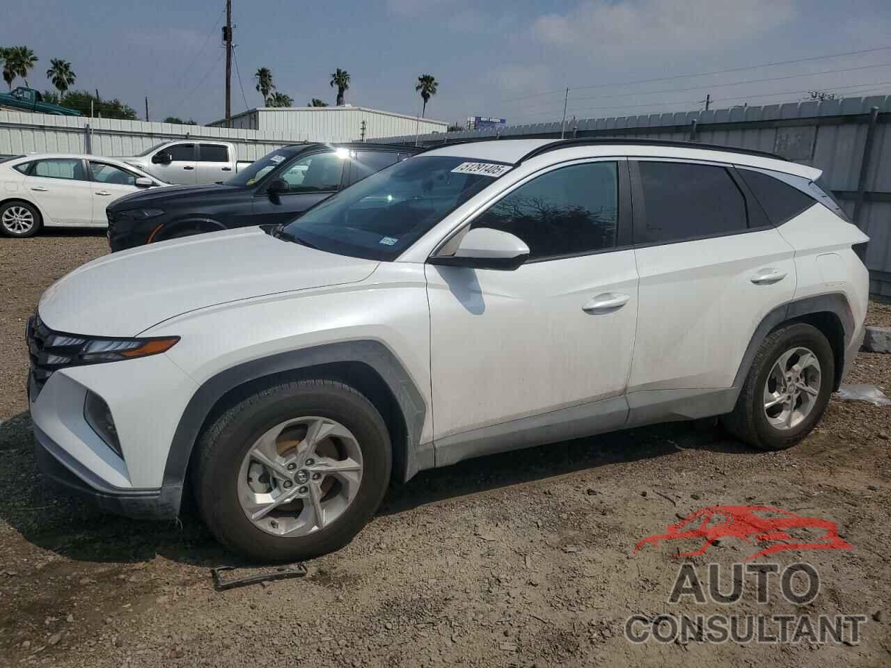 HYUNDAI TUCSON 2024 - KM8JB3DE2RU282682