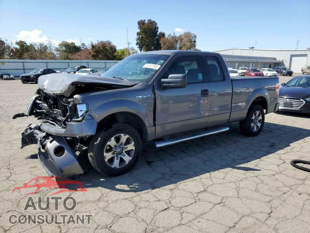 FORD F-150 2013 - 1FTFX1CF3DKD82725