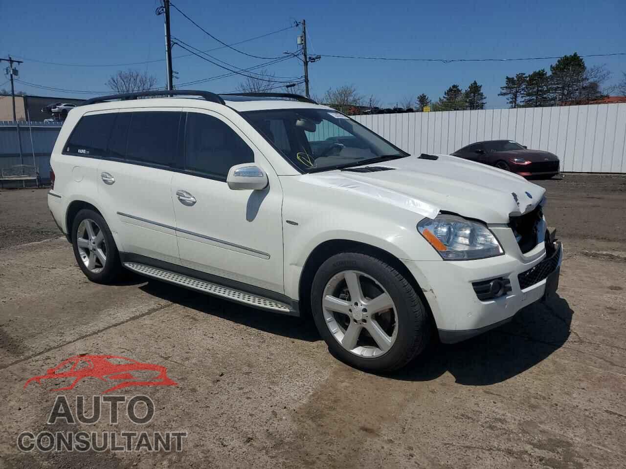 MERCEDES-BENZ GL-CLASS 2009 - 4JGBF25E49A482045