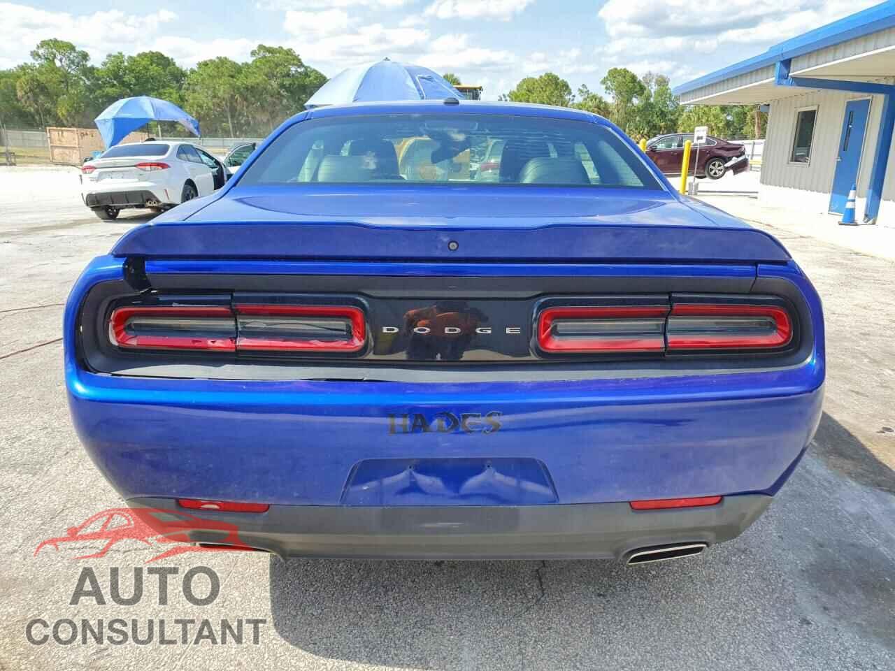 DODGE CHALLENGER 2019 - 2C3CDZAG5KH733648