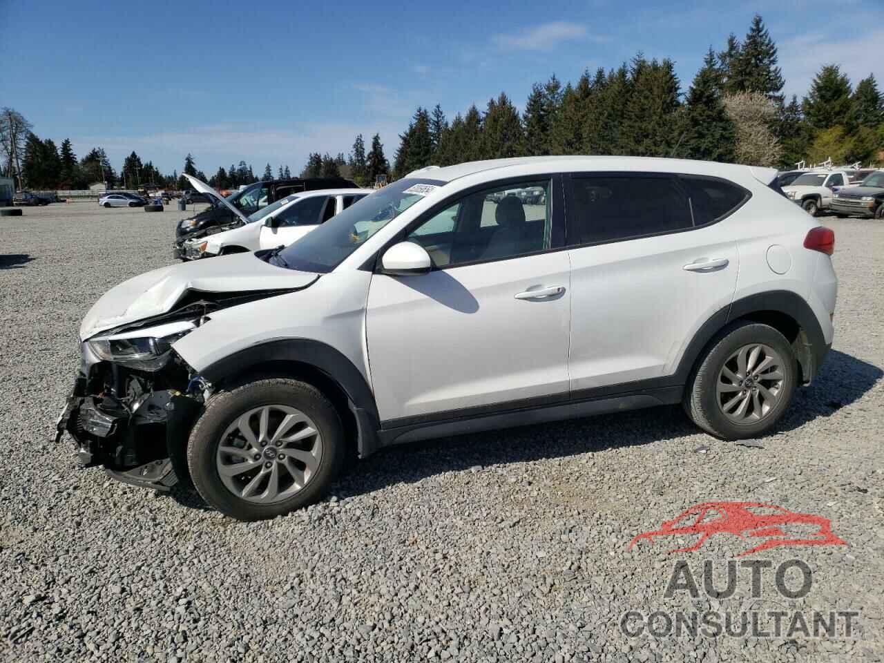 HYUNDAI TUCSON 2018 - KM8J2CA4XJU729162