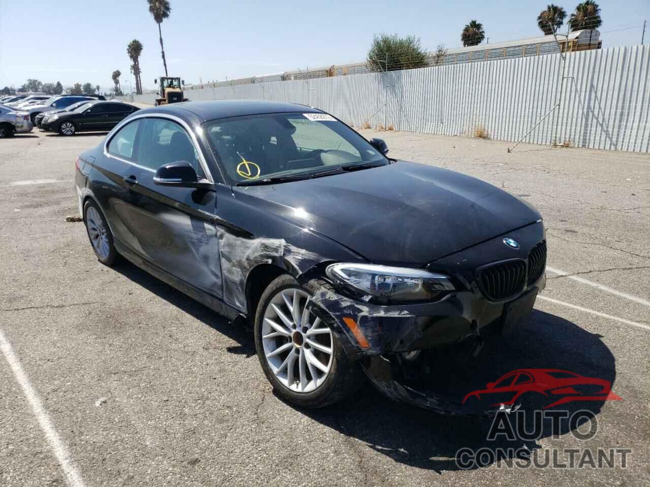 BMW 2 SERIES 2016 - WBA1F9C51GV545777