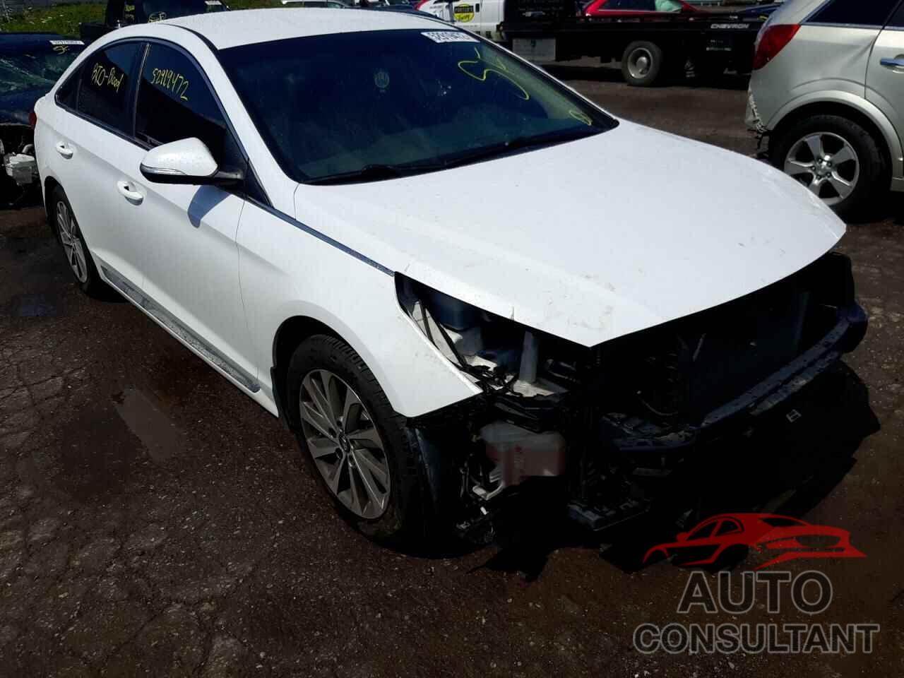 HYUNDAI SONATA 2016 - 5NPE34AF7GH296848