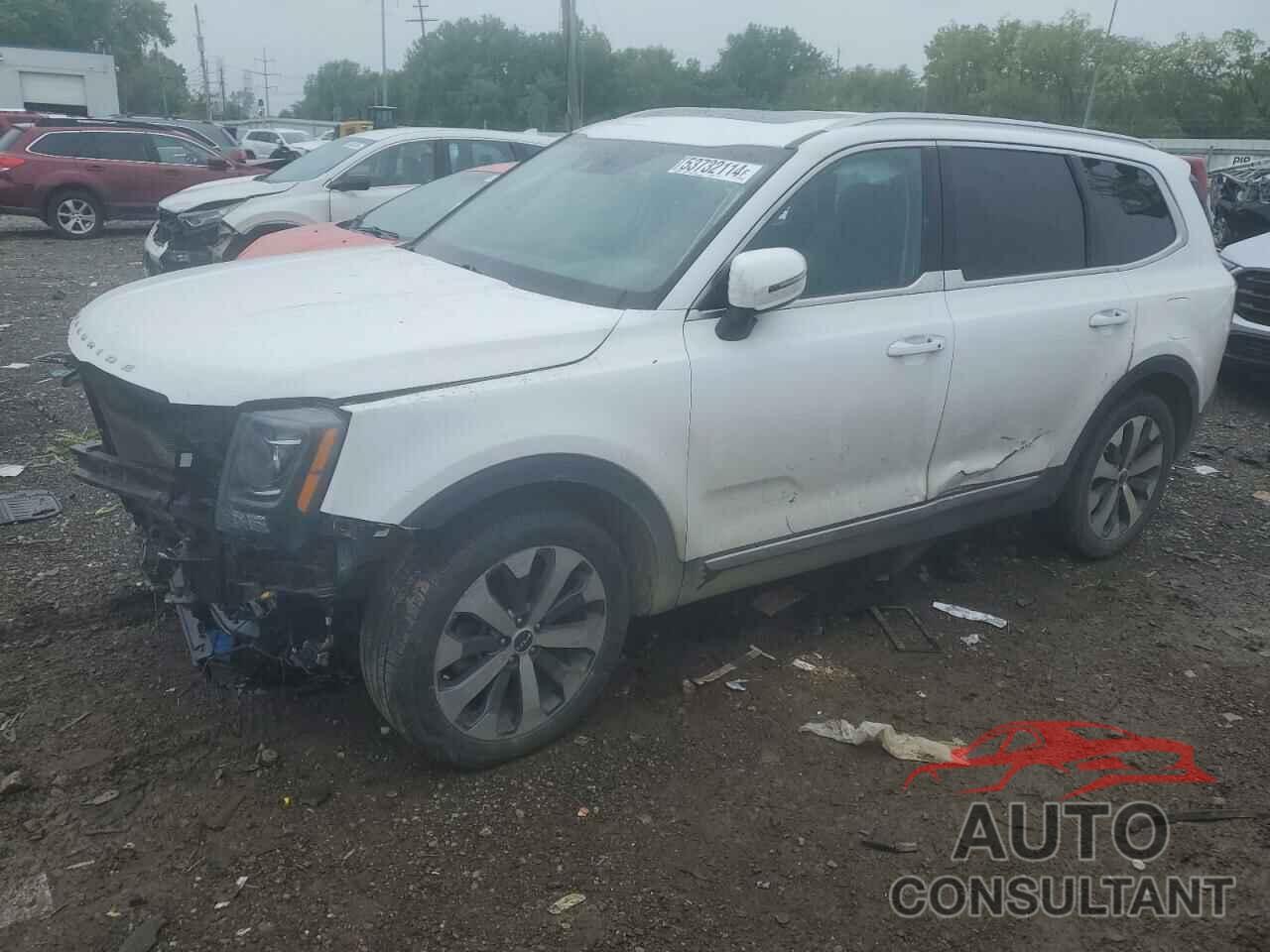 KIA TELLURIDE 2022 - 5XYP6DHC9NG233721