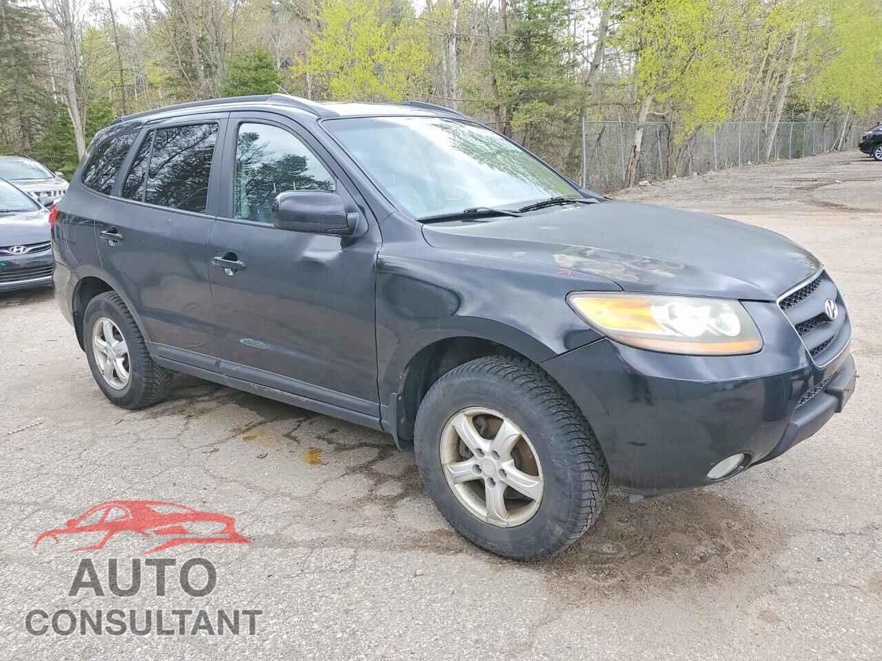 HYUNDAI SANTA FE 2009 - 5NMSG13E59H314905