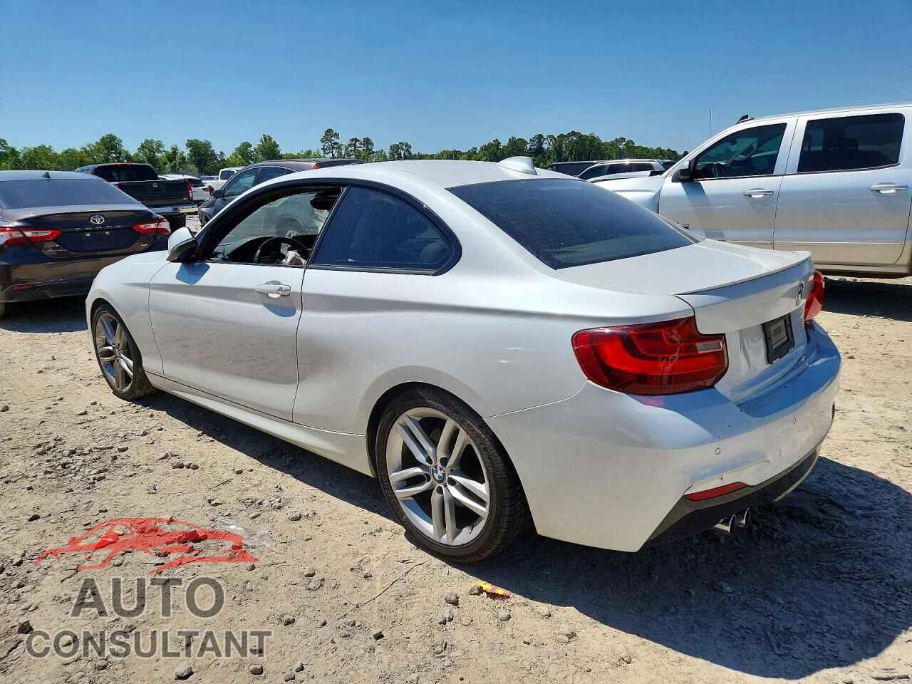 BMW 2 SERIES 2014 - WBA1F5C59EVV99348