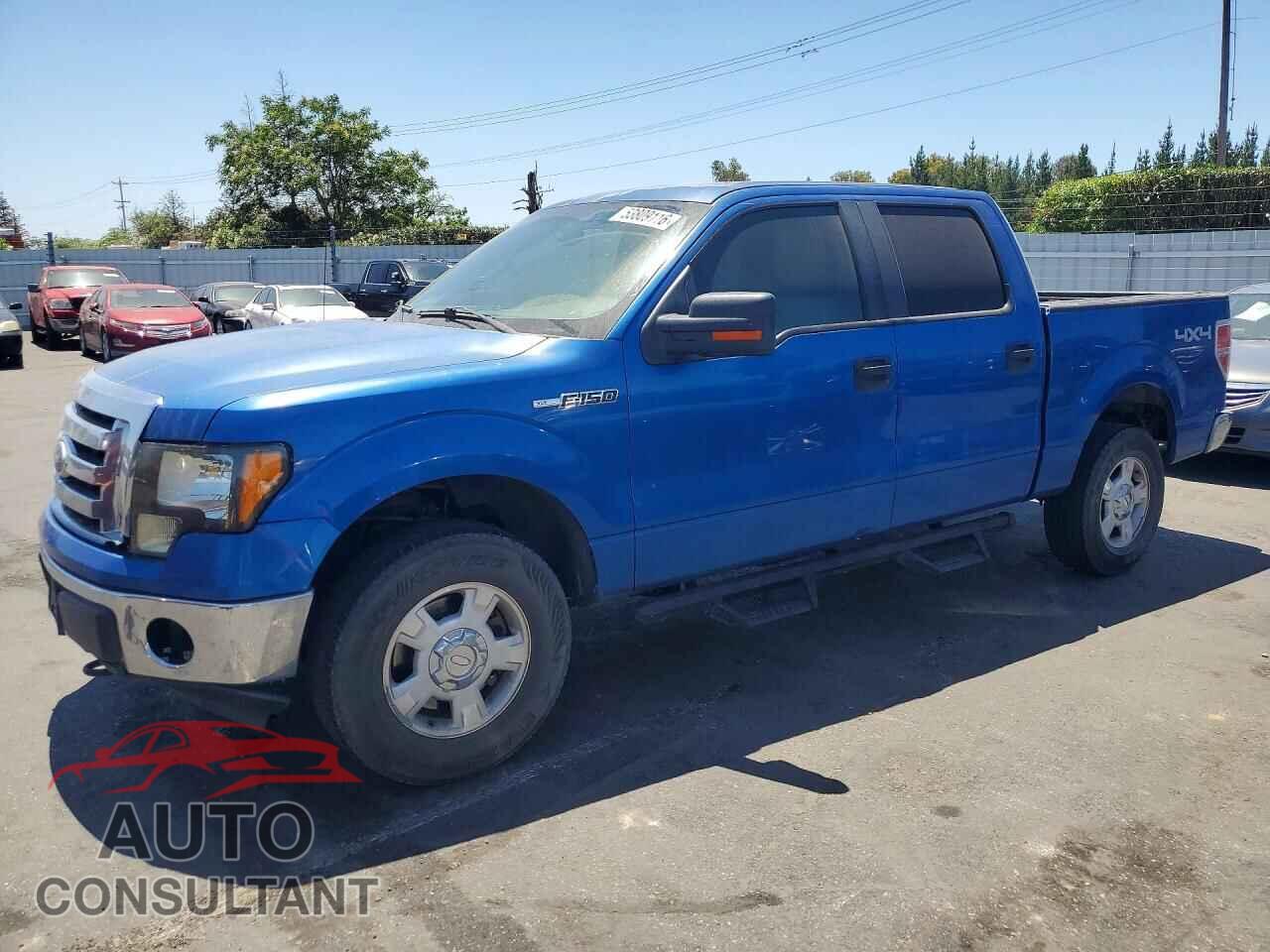 FORD F150 2010 - 1FTFW1EV4AKE18862