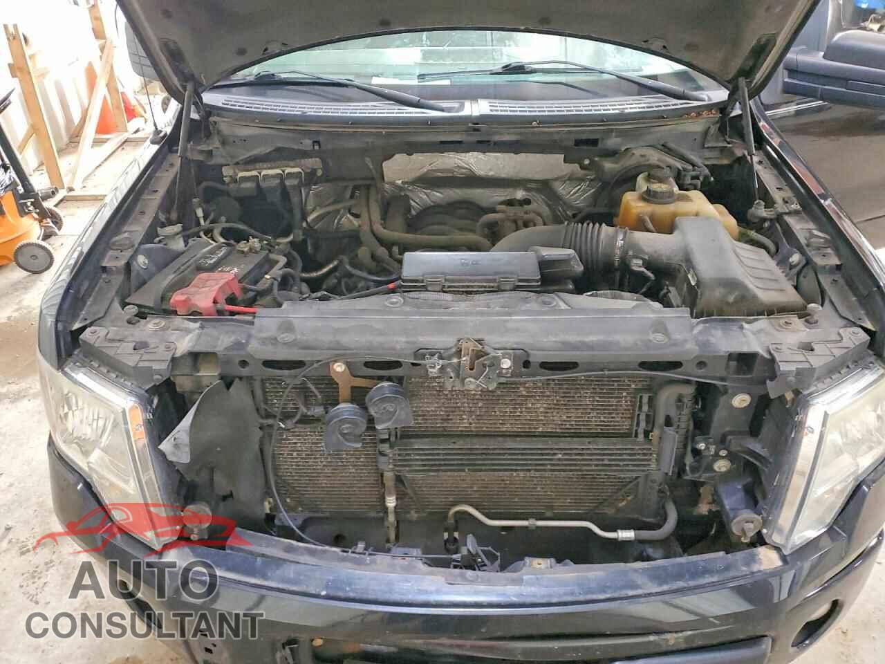 FORD F150 2013 - 1FTFX1EF6DFB50903