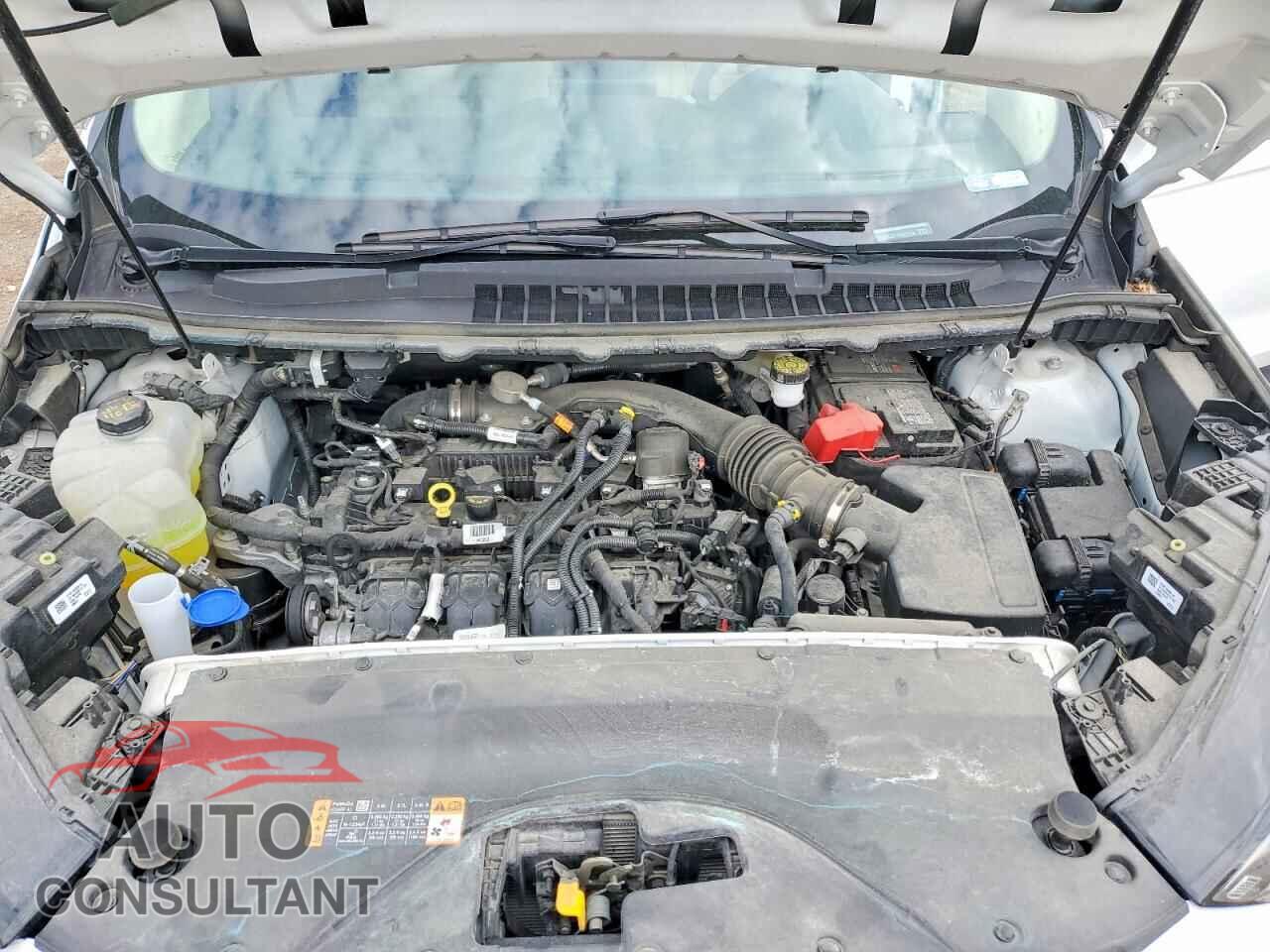 FORD EDGE 2024 - 2FMPK4G91RBB23558